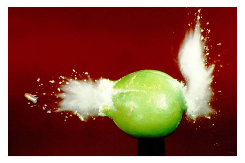 davidhazy-lime-1 copy