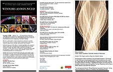 [Announcement of winning in NSF sponsored 2008 International Science and Engineering Visualization Challenge]