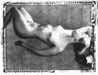 [nude reclining figure study image of Erin reclining]