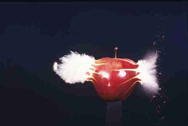 apple010