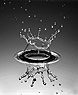 [water splash by water drop impact on layer of water]