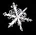 [basic snowflake photo]
